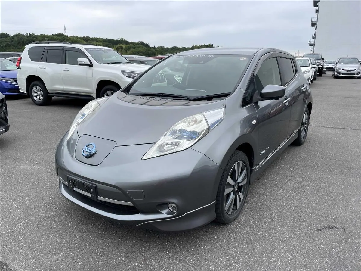2017 Nissan Leaf 30X Thanks Edition (30kWh) — photo 3