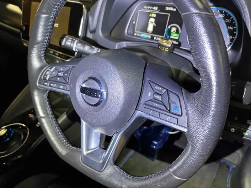 2020 Nissan Leaf e+ G (62kWh) — photo 9