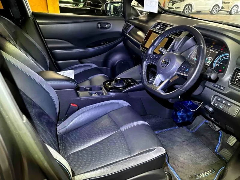 2020 Nissan Leaf e+ G (62kWh) — photo 5