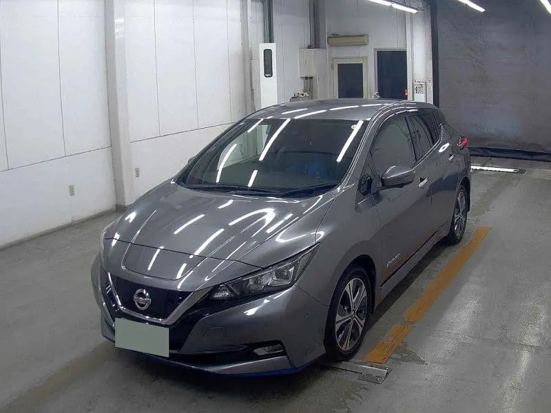 2020 Nissan Leaf e+ G (62kWh) — photo 2