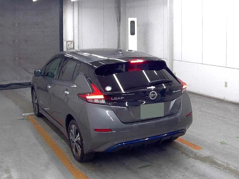 2020 Nissan Leaf e+ G (62kWh) — photo 15