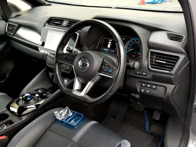 2020 Nissan Leaf e+ G (62kWh) — photo 3