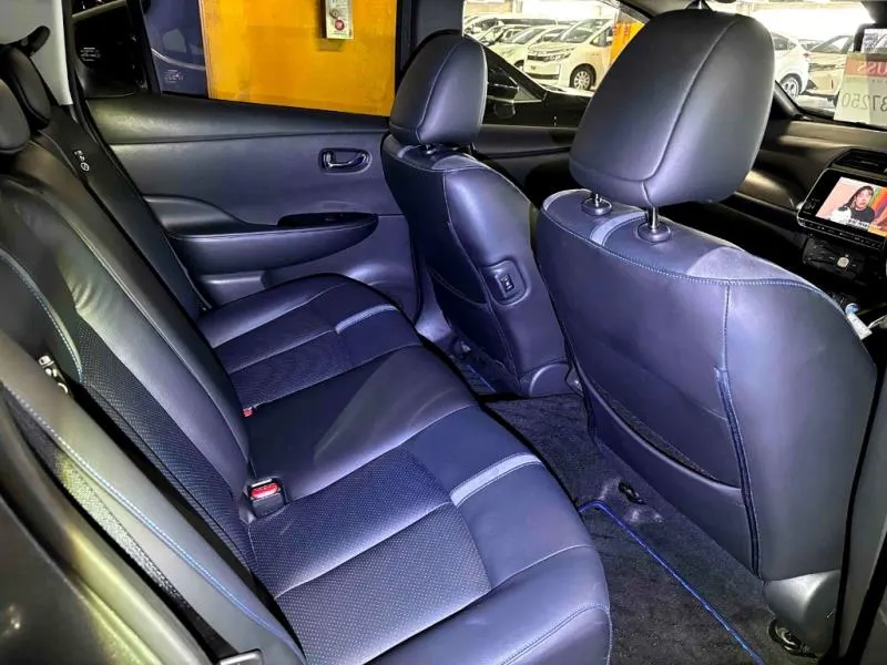 2020 Nissan Leaf e+ G (62kWh) — photo 10