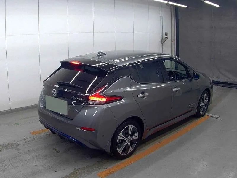 2020 Nissan Leaf e+ G (62kWh) — photo 16