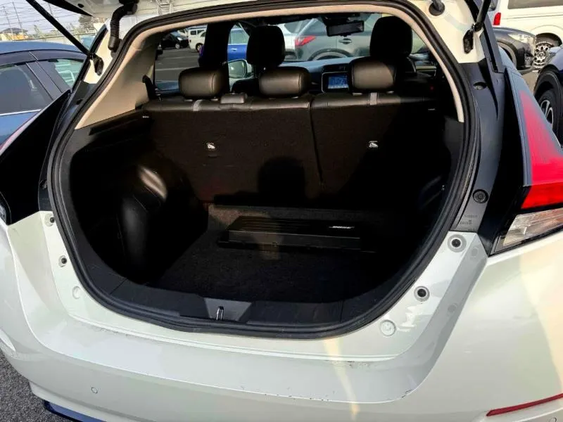 2021 Nissan Leaf e+ G (62kWh), photo 15