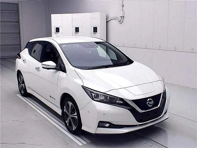 2021 Nissan Leaf e+ G (62kWh), photo 2