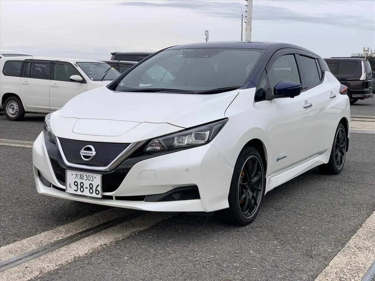 2019 Nissan Leaf e+ X (62kWh) — photo 3