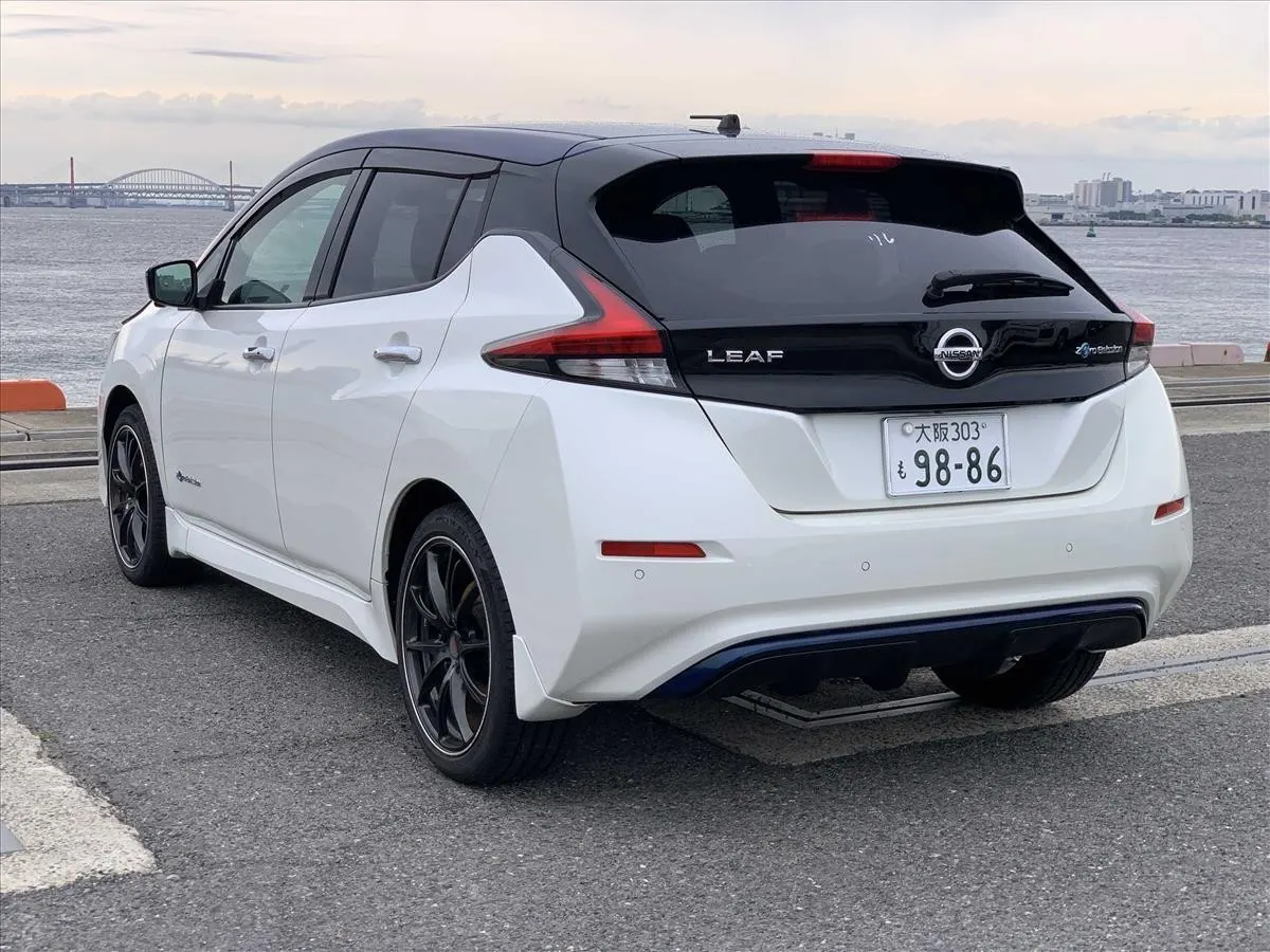 2019 Nissan Leaf e+ X (62kWh) — photo 4