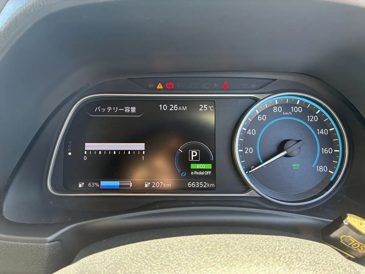 2019 Nissan Leaf e+ X (62kWh) — photo 7