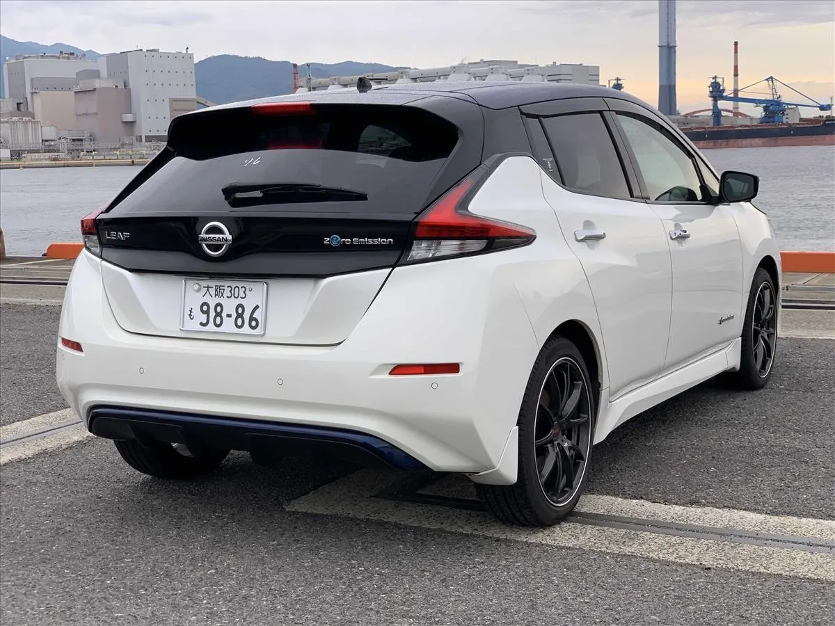 2019 Nissan Leaf e+ X (62kWh) — photo 2