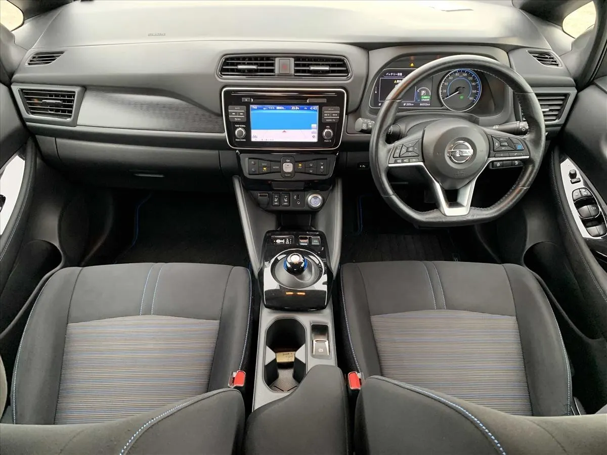 2019 Nissan Leaf e+ X (62kWh) — photo 8