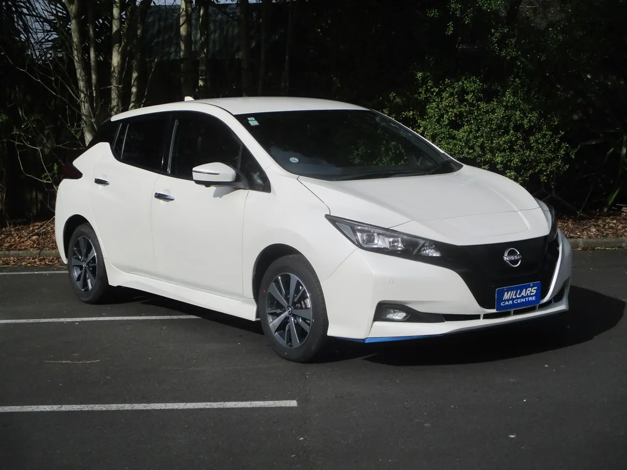 2020 Nissan Leaf G (62kW) — photo 7