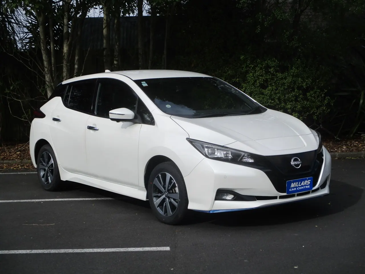 2020 Nissan Leaf G (62kW) — photo 6