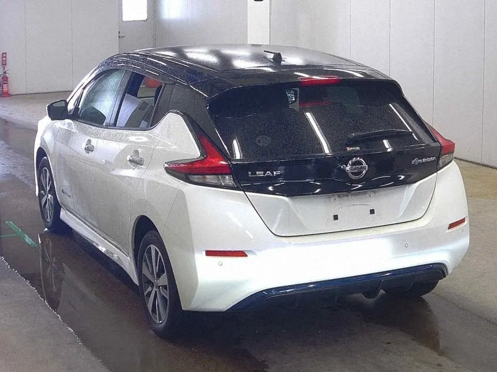 2019 Nissan Leaf e+ X (62kWh) — photo 5