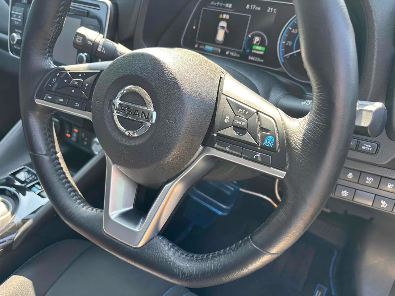 2019 Nissan Leaf e+ X (62kWh) — photo 8
