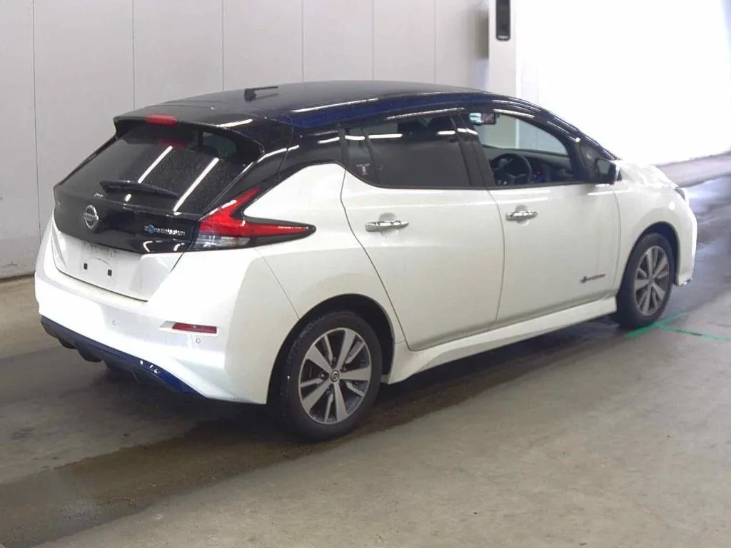 2019 Nissan Leaf e+ X (62kWh) — photo 6