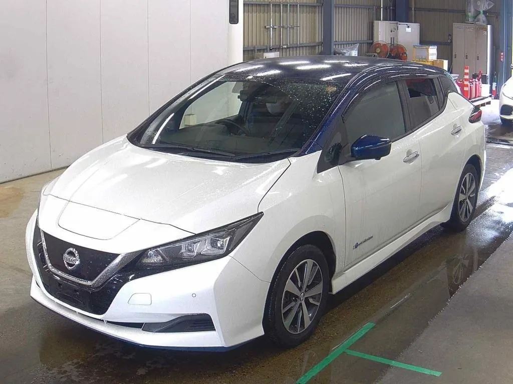 2019 Nissan Leaf e+ X (62kWh) — photo 3