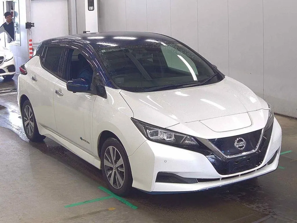 2019 Nissan Leaf e+ X (62kWh) — photo 2