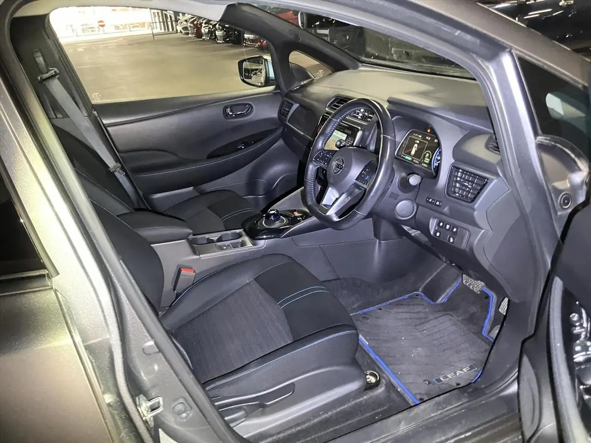 2019 Nissan Leaf e+ X (62kWh) — photo 8