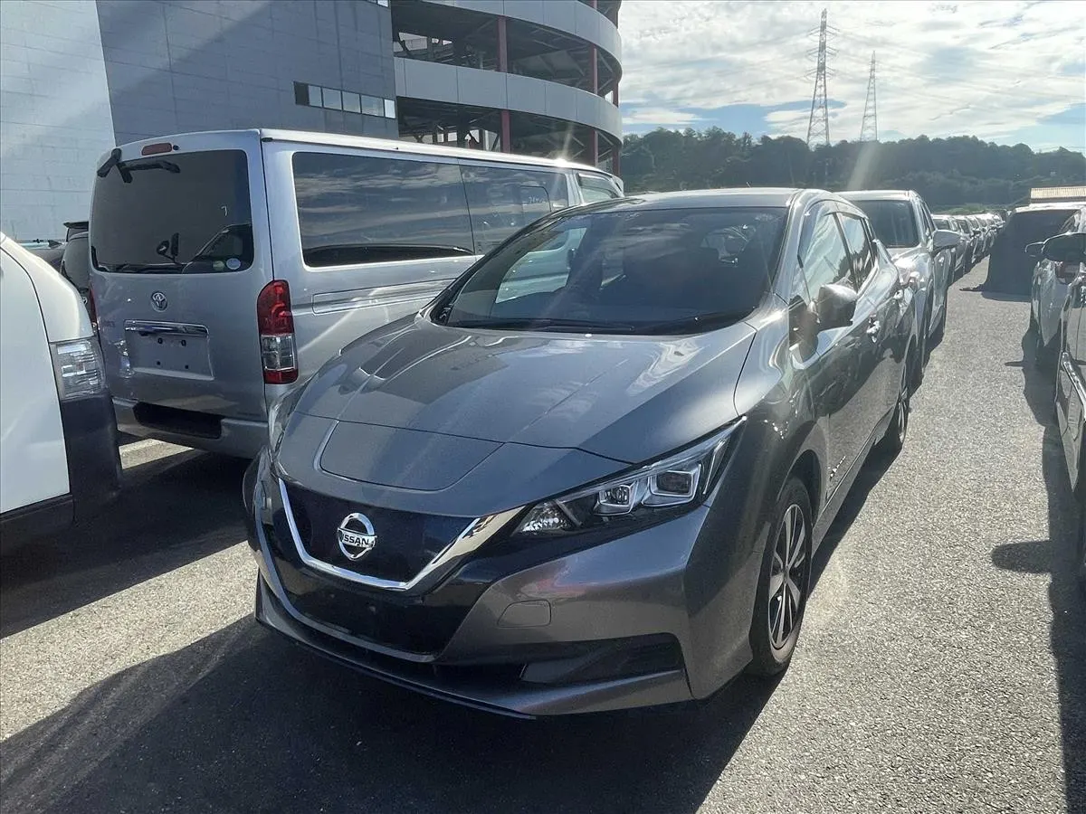 2019 Nissan Leaf e+ X (62kWh) — photo 4