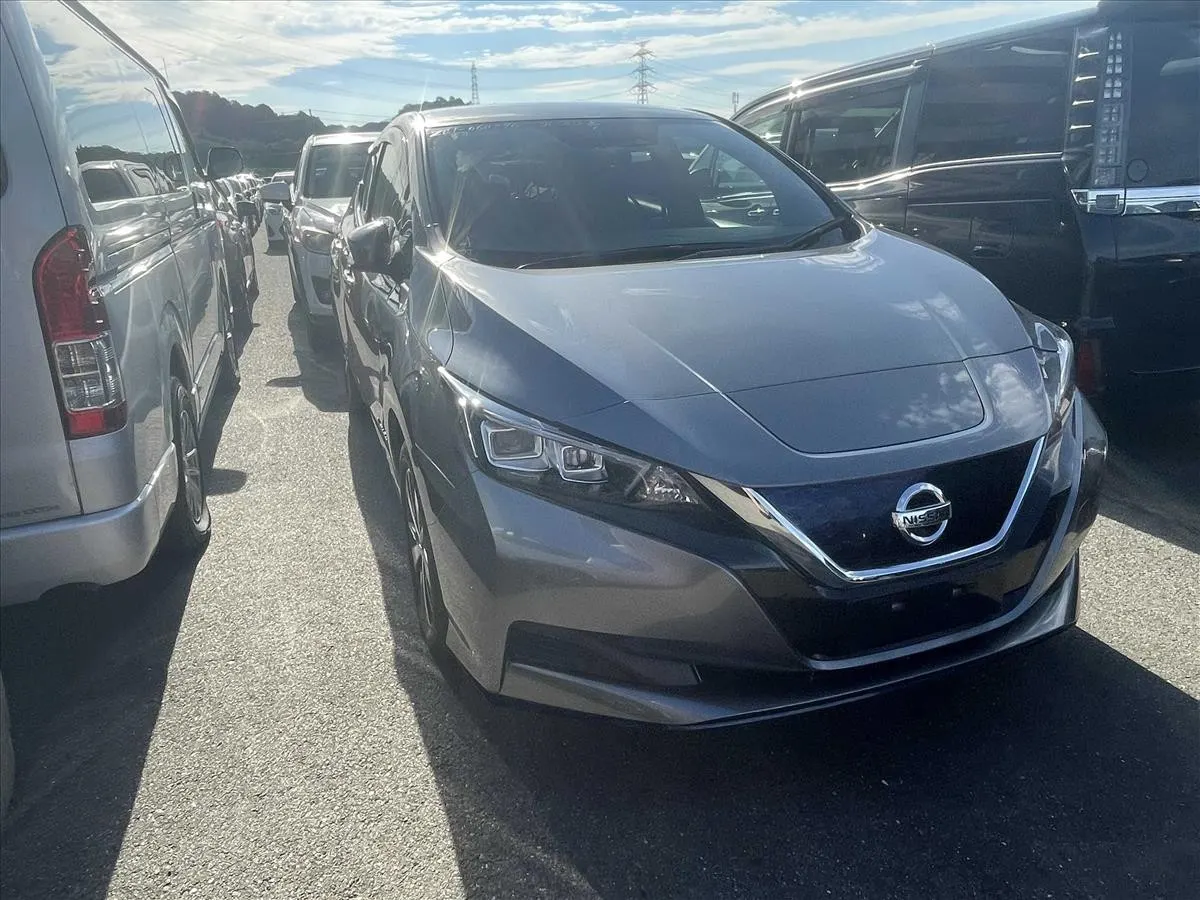 2019 Nissan Leaf e+ X (62kWh) — photo 2