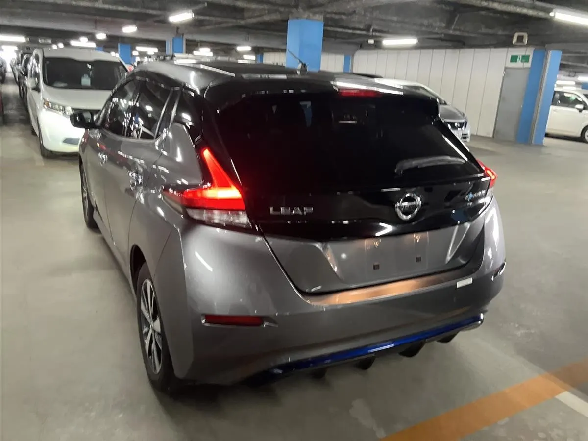2019 Nissan Leaf e+ X (62kWh) — photo 6