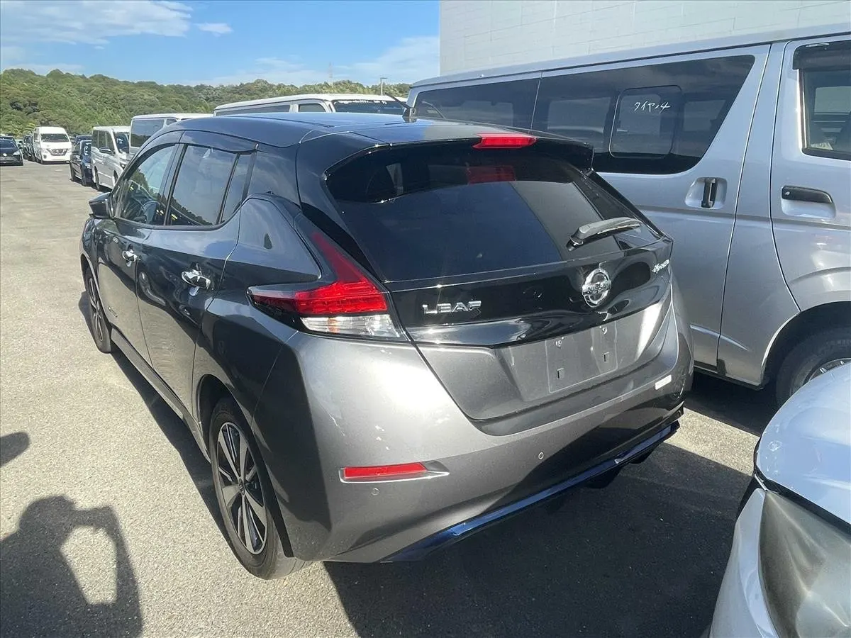 2019 Nissan Leaf e+ X (62kWh) — photo 5