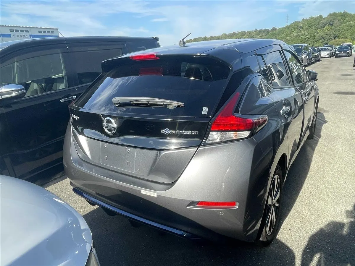 2019 Nissan Leaf e+ X (62kWh) — photo 3