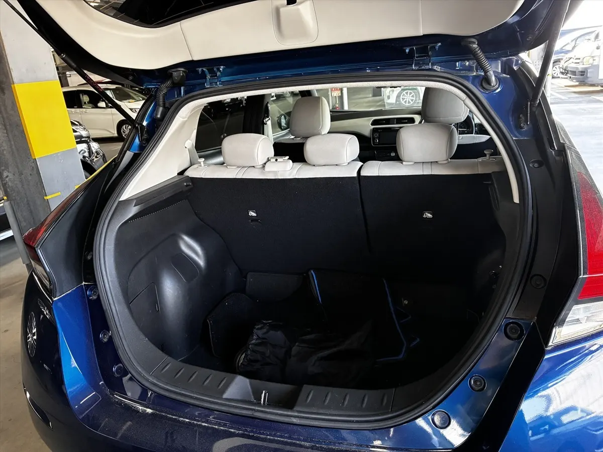 2019 Nissan Leaf G (40kWh), photo 10