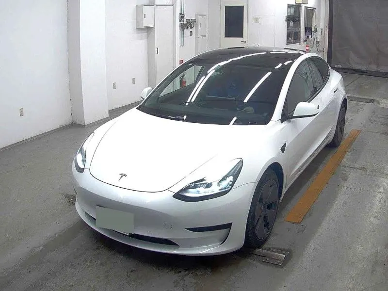 2021 Tesla Model 3 SR+ (55kWh) — photo 3