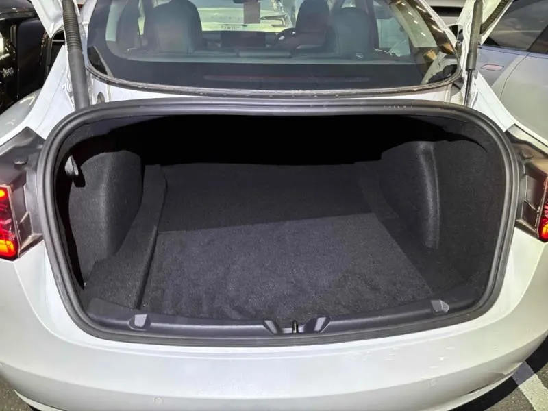 2021 Tesla Model 3 SR+ (55kWh) — photo 9