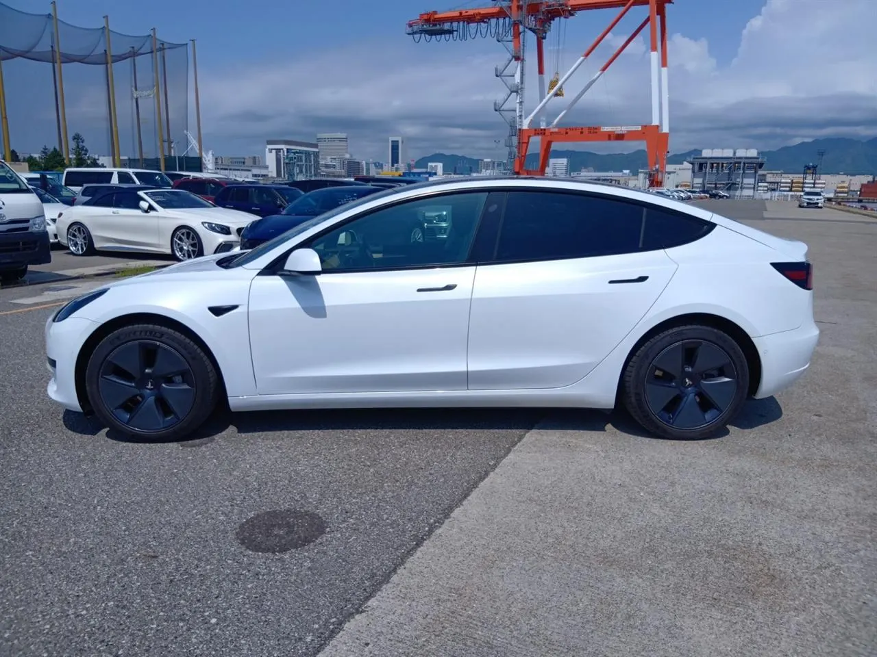 2021 Tesla Model 3 LFP Refresh (60kWh) — photo 4