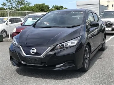 2021 Nissan Leaf X V Selection (40kWh), photo 3