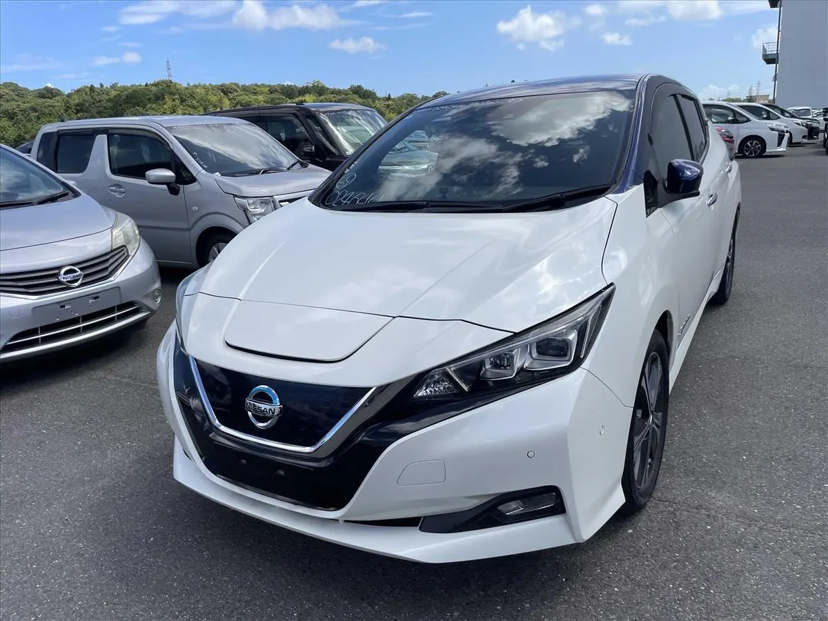 2018 Nissan Leaf G (40kWh) — photo 3