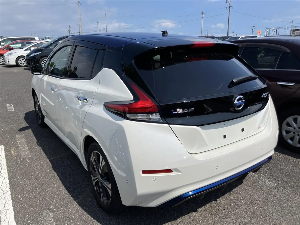 2018 Nissan Leaf G (40kWh) — photo 2