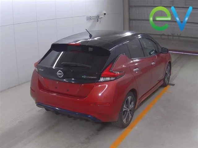 2019 Nissan Leaf G (40kWh) — photo 2