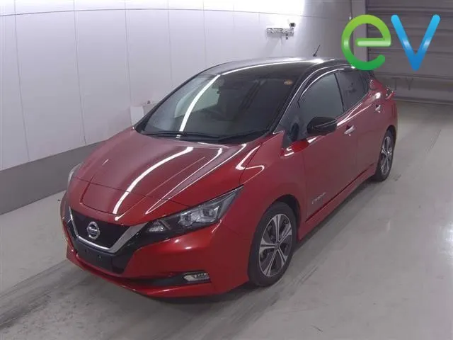 2019 Nissan Leaf G (40kWh) — photo 4
