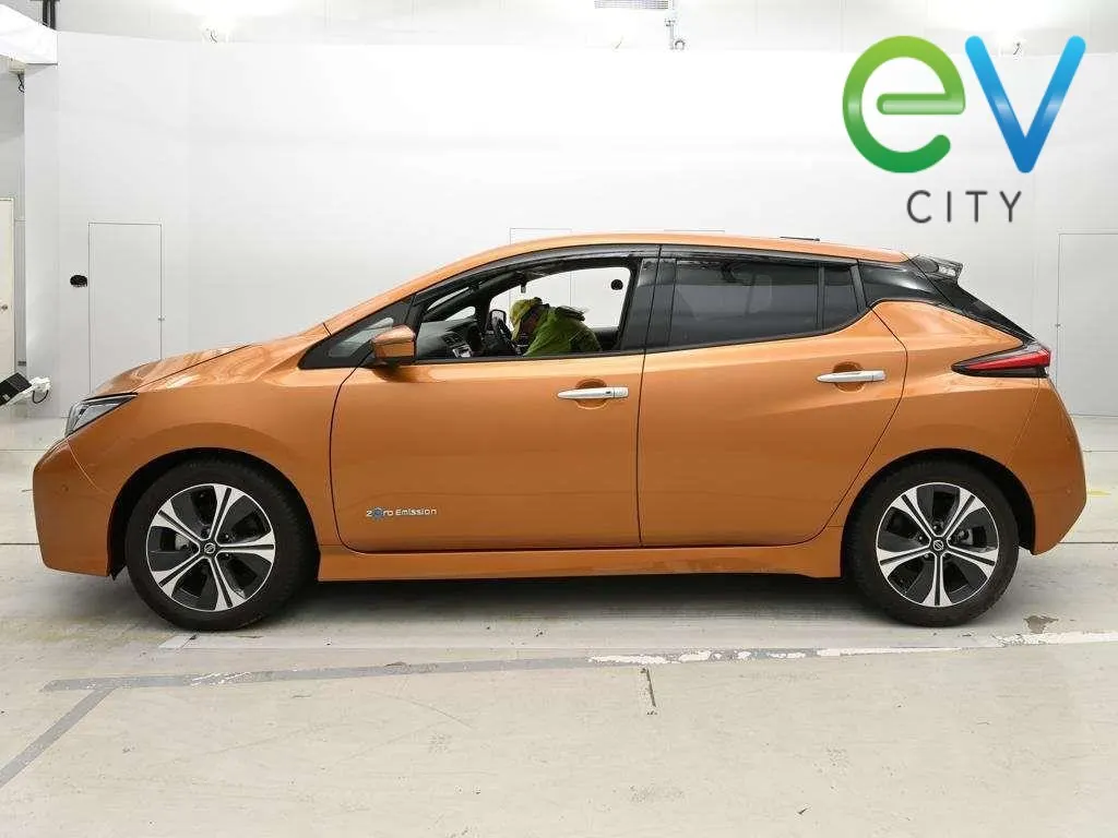 2019 Nissan LEAF G 40kWh Pro Pilot, 360 Camera — photo 4