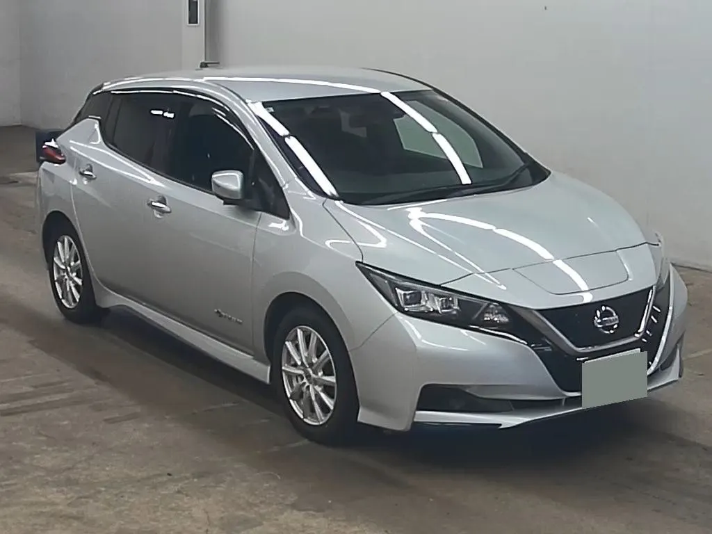 2018 Nissan Leaf 40X 84.2% SOH (40kWh) — photo 2