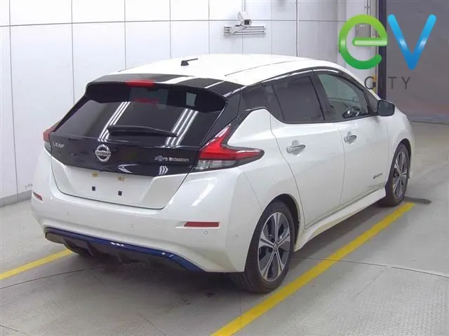 2019 Nissan LEAF G 40kWh Pro Pilot, 360 Camera — photo 2