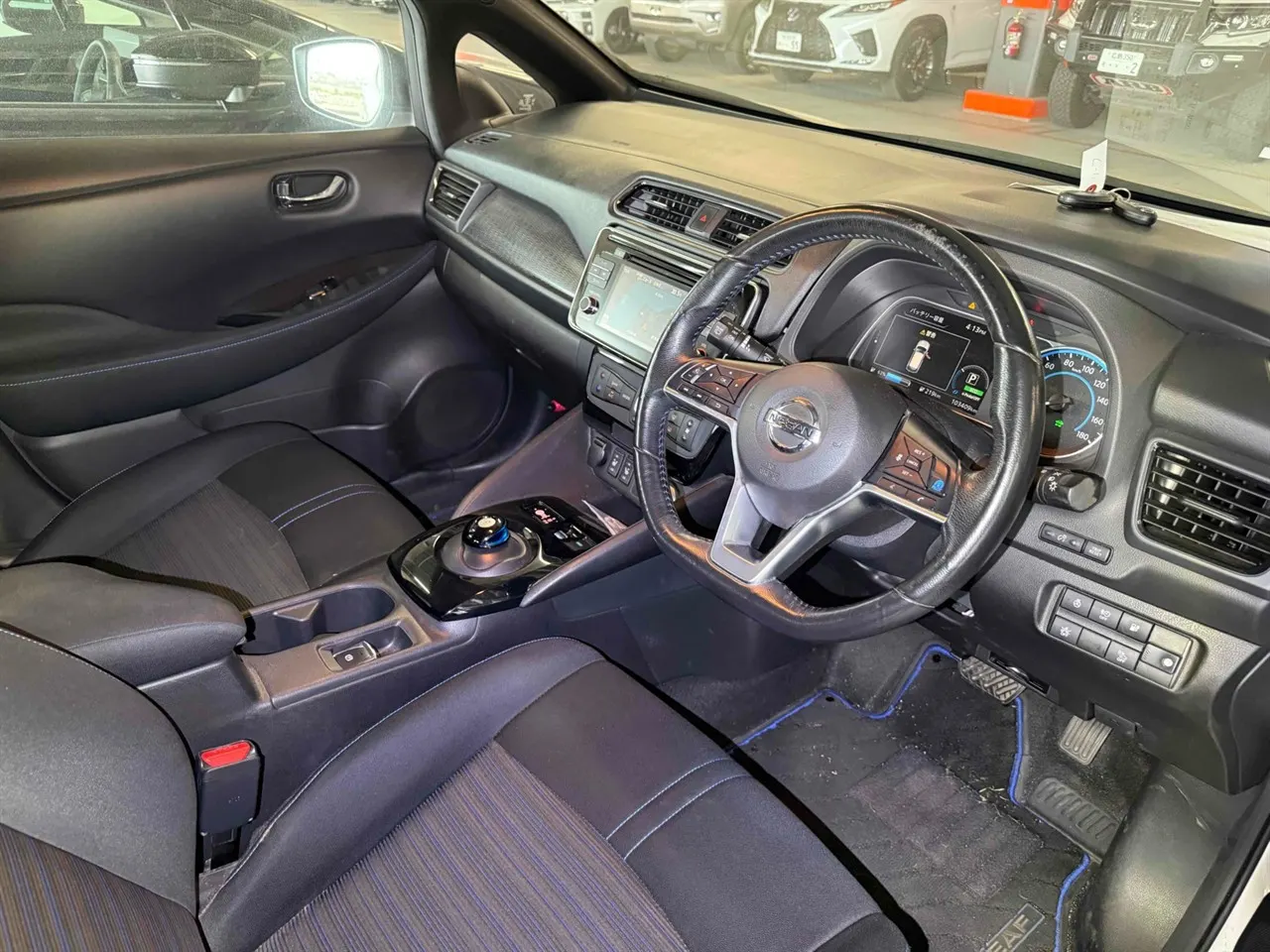 2019 Nissan Leaf e+ X (62kWh) — photo 3