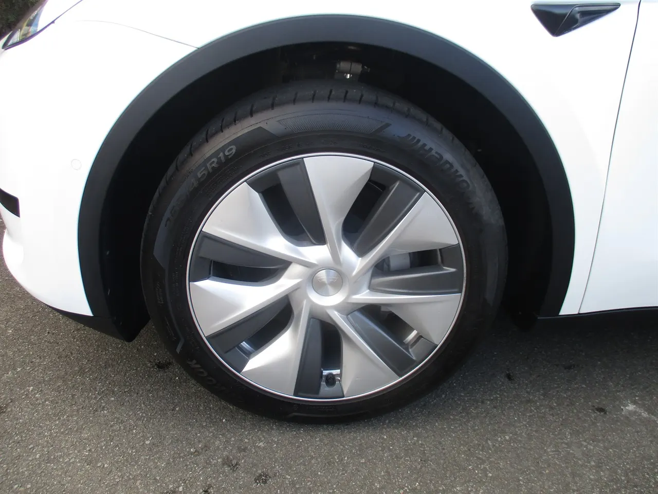 2023 Tesla Model Y Rear Wheel Drive — photo 3