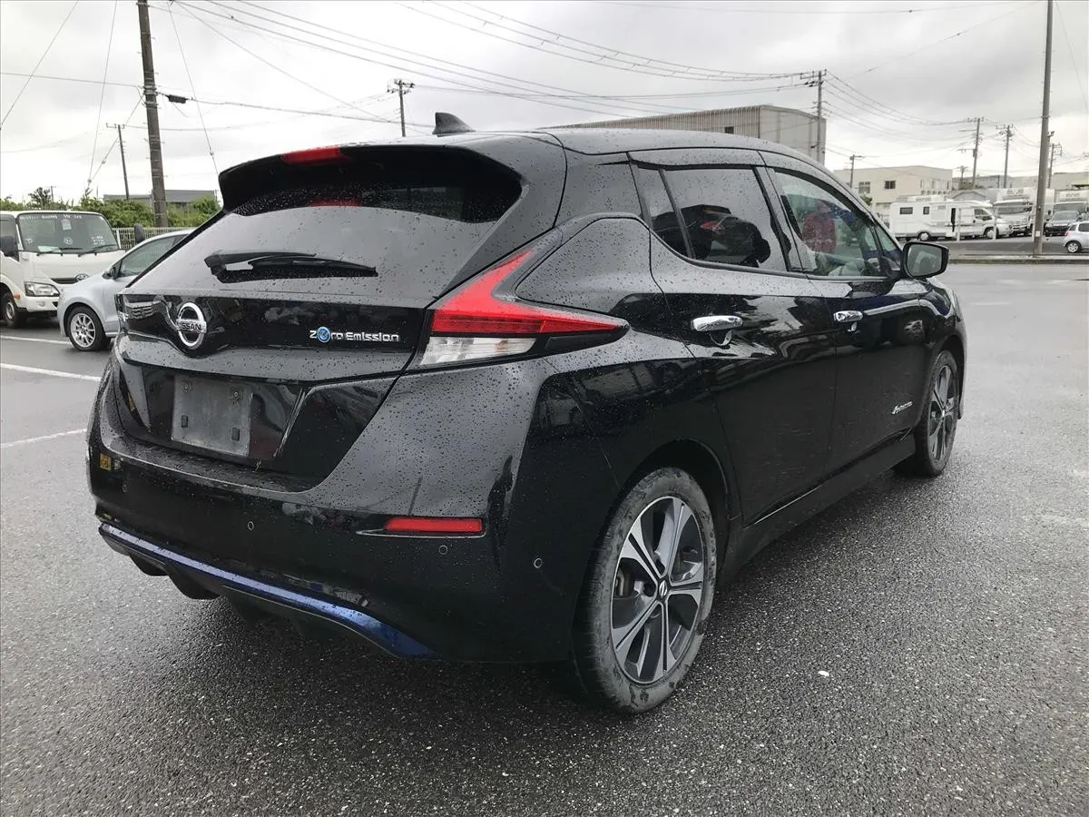 2020 Nissan Leaf e+ G (62kWh) — photo 2