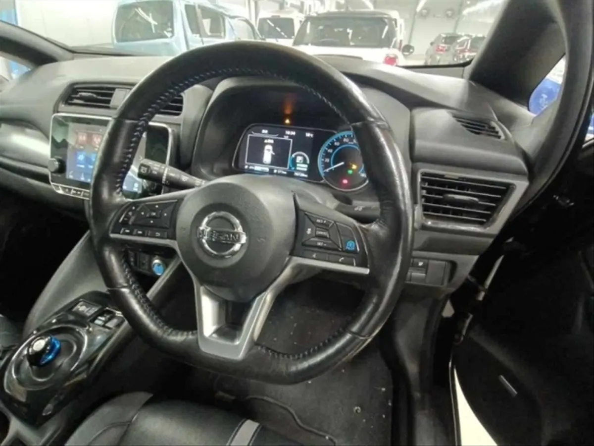 2020 Nissan Leaf e+ G (62kWh) — photo 7