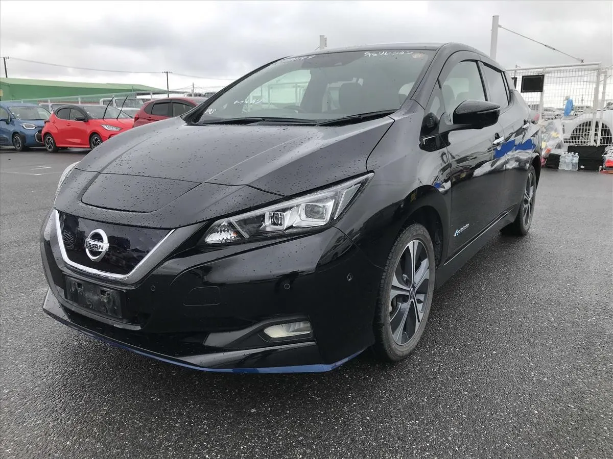 2020 Nissan Leaf e+ G (62kWh) — photo 3