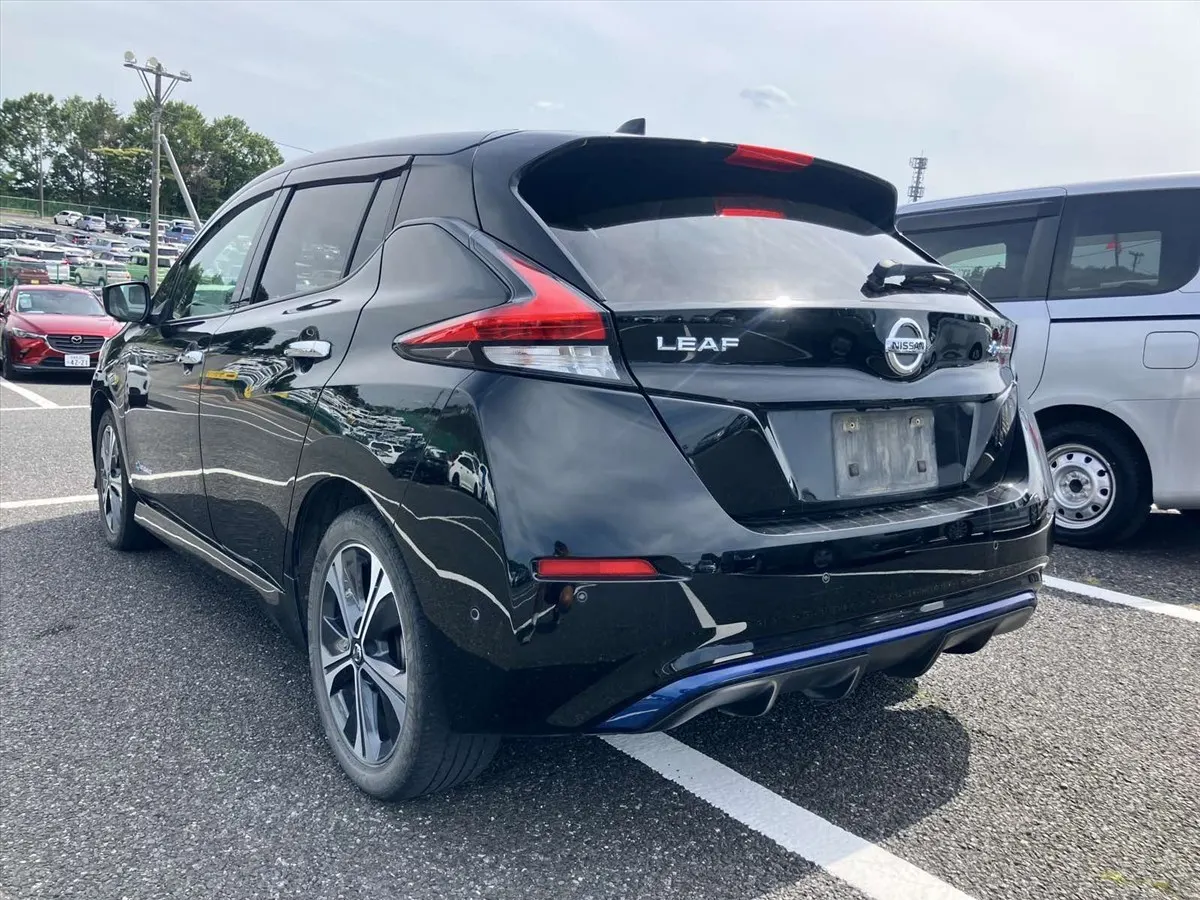 2020 Nissan Leaf e+ G (62kWh) — photo 4