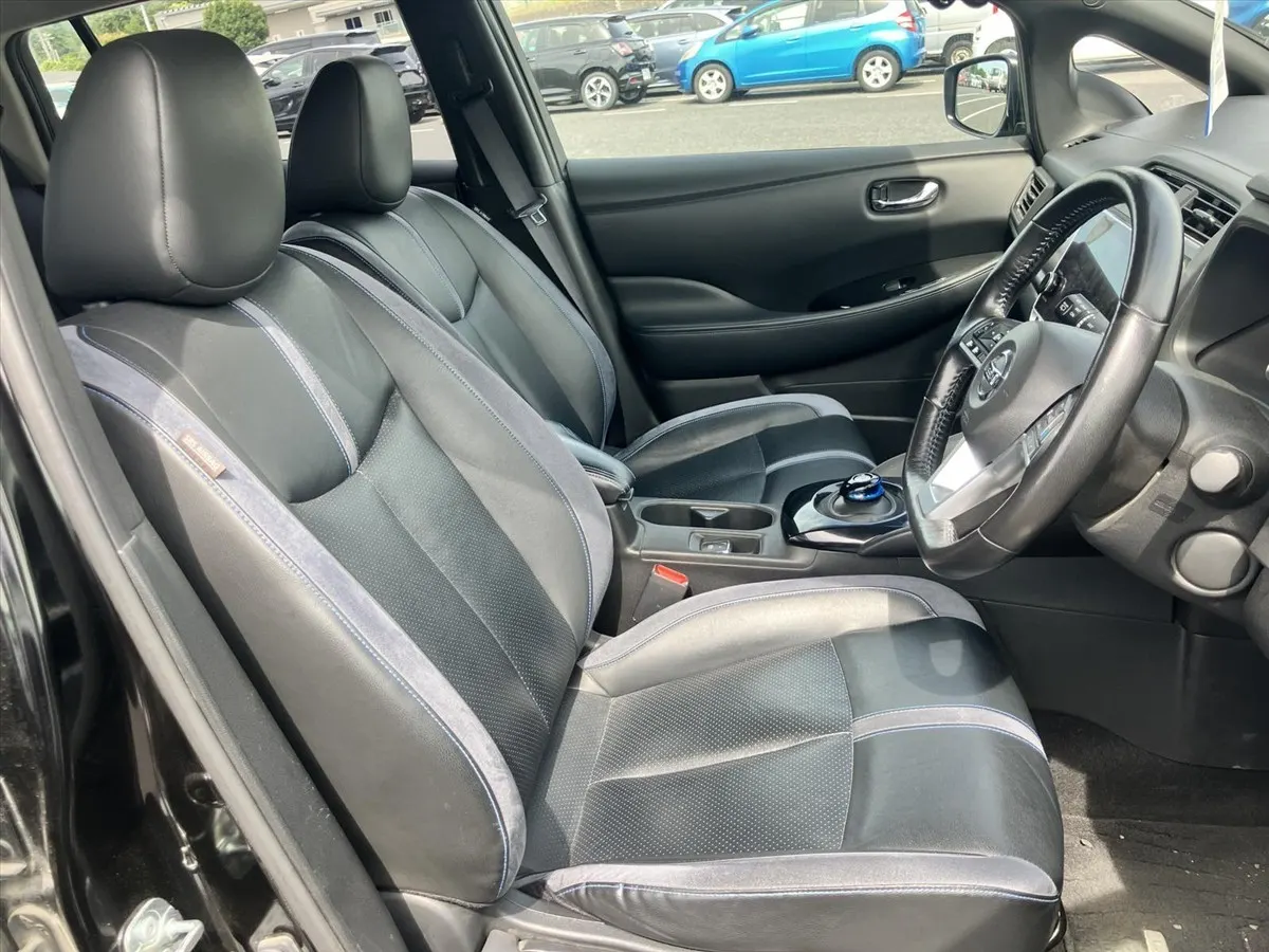 2020 Nissan Leaf e+ G (62kWh) — photo 6