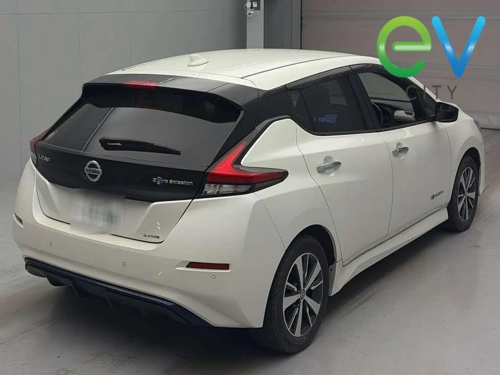 2020 Nissan Leaf e+ X (62kWh) — photo 2