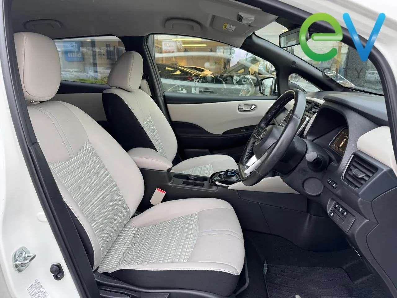 2020 Nissan Leaf e+ X (62kWh) — photo 8