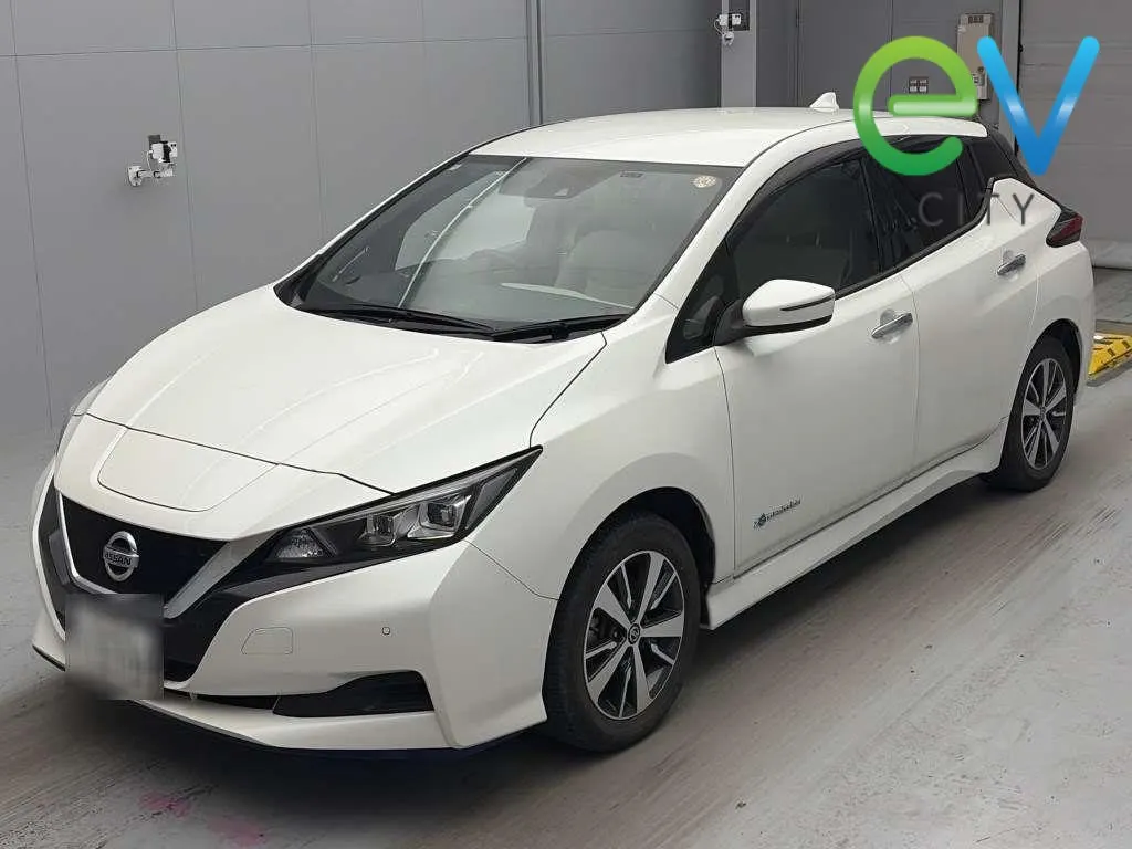 2020 Nissan Leaf e+ X (62kWh) — photo 4